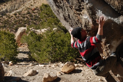 Evan - Planet of the Apes V6/7