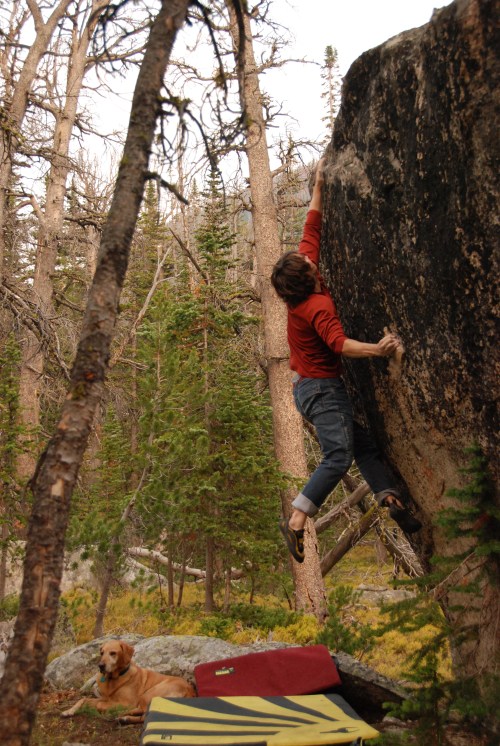 the Interplanetary Insanitarium