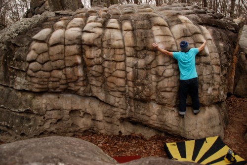 failing miserably on Millipede V5