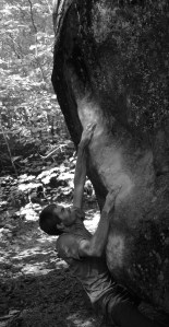 Peder - Premium Coffee V7 - Leavenworth